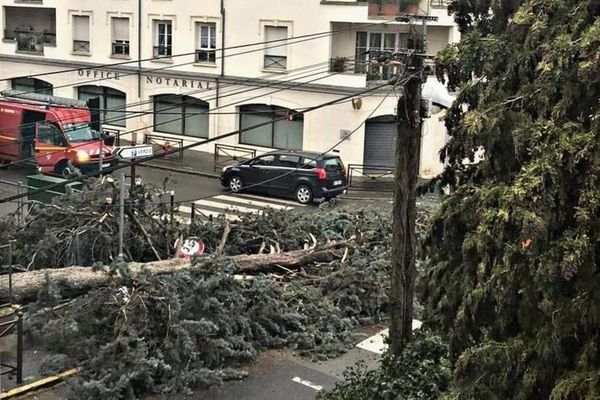 Arpajon, dimanche 27 décembre 2020. La tempête Bella a provoqué la chute de nombreux arbres comme ici à l’angle de la rue Verdier et du boulevard Abel-Cornaton à Arpajon. Crédit photo : Mairie Arpajon