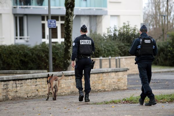 4,8 kilos de cannabis, 160 grammes de cocaïne et 3 460 euros ont été saisis à l'issue d'une opération de police de cinq jours dans le quartier de la Dévèze, à Béziers (Hérault). (Image d'illustration)