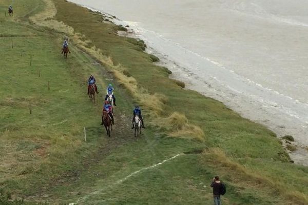 L'épreuve d'endurance des JEM se déroule en Baie du Mont-Saint-Michel. Ce jeudi matin, un cheval et sa cavalière costaricaine ont chuté. L'animal n'a pas survécu.