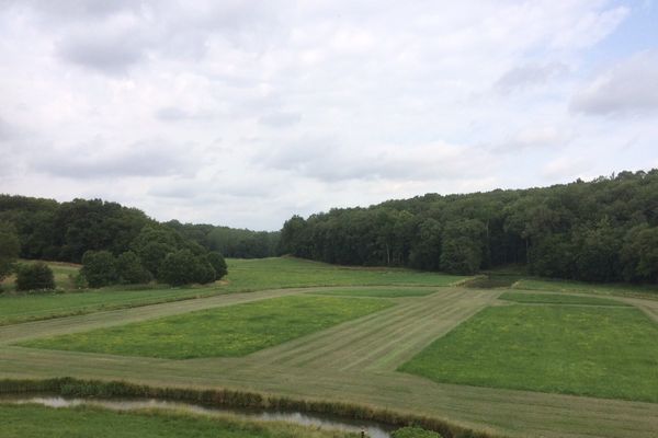 après quelques nuages en matinée, le soleil devrait pointer le bout de son nez dans l'après-midi