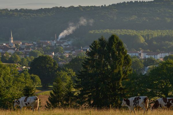 Mandeure, Doubs, Franche-Comte- Vue sur le pays de Montbeliard et sur les Vosges.