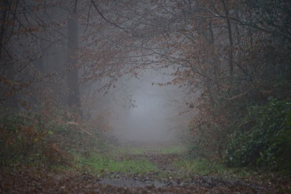 Brumes et brouillards ce mardi matin au sud de la région