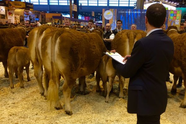 Les stars de la région s'affrontent à Paris