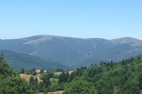 Bienvenue dans la Vallée de Munster