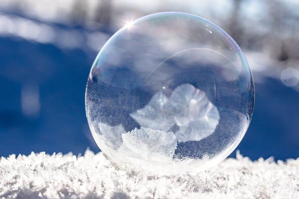 Une petite bulle de bonheur pour débuter l'année.