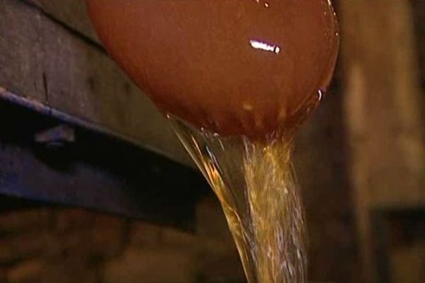 Près de 2000 litres de jus de pommes sont sortis de ce pressoir associatif