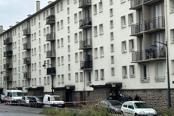 Le Raid est arrivé à 11h15 ce jeudi 27 juillet pour un homme retranché dans un appartement du quartier Maurepas à Rennes.