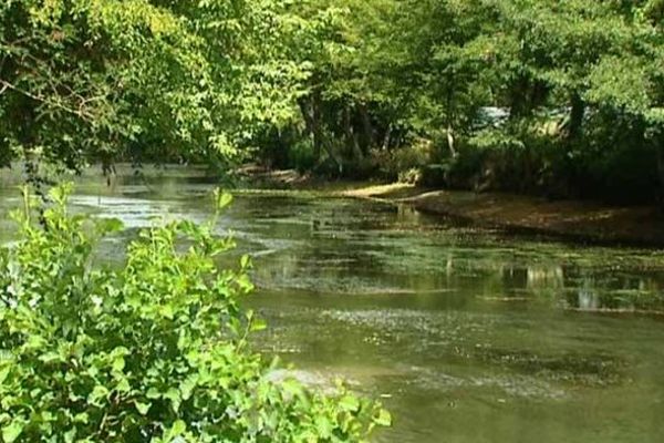 Les algues ont envahi les eaux du Loiret.