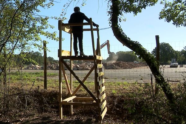 La ferme des 1.200 taurillons va sortir de terre à Coussay-les-Bois.