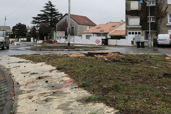 Les pins parasols du rond-point des fleurs à St-Georges-de-Didonne ont été abattus.