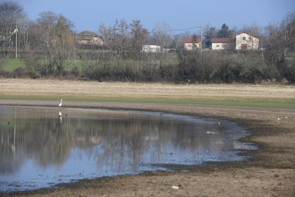 Les stigmates de la sécheresse hivernale à Saint-Savin, dans le nord Isère