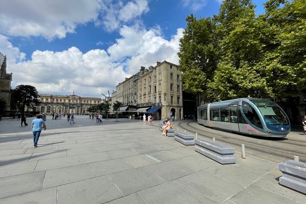 Sur la place Pey Berland de Bordeaux très minérale, une vingtaine d'arbres ont été plantés pour apporter de la fraîcheur, 26 août 2022.