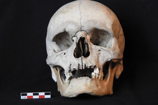 une vue de face de “l’homme de la grotte Agathe” retrouvé en 2019