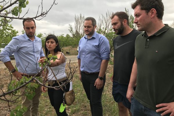 Arnaud Gaillot, Président National des Jeunes Agriculteurs (en chemise bleue au centre) à la rencontre des agriculteurs catalans en détresse face à la sécheresse.