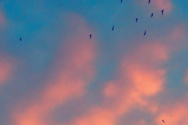 Le ciel à Angers.