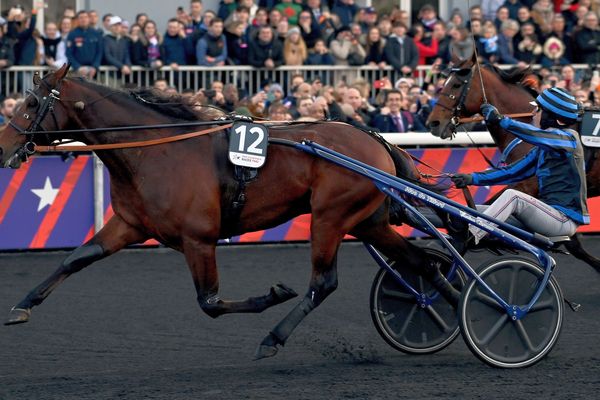 Idao de Tillard vole sur la piste de l'hippodrome de Vincennes