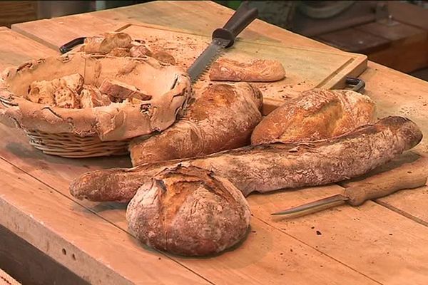 Une centaine d'exposants, dont une très grande majorité sont lorrains, présentent leur-savoir-faire au salon de l'agriculture et de l'alimentation de Saint-Avold (Moselle).