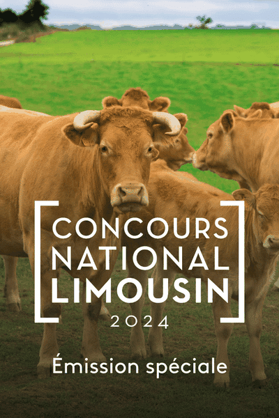 Émission spéciale Concours National de la race bovine limousine, à suivre le samedi 14 septembre 2024.