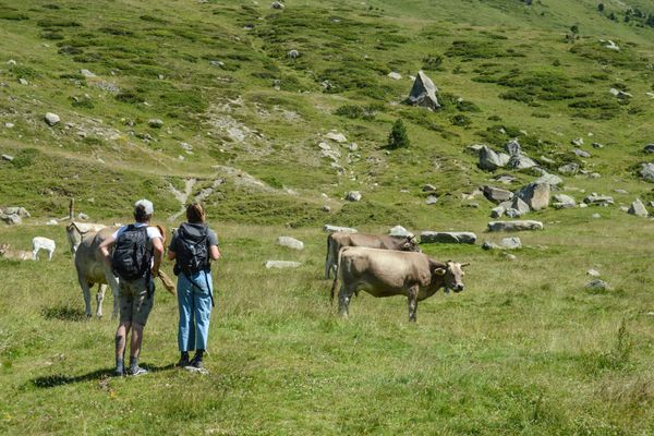 Depuis 2020 et la crise du Covid, la fréquentation dans les Pyrénées est en forte augmentation.