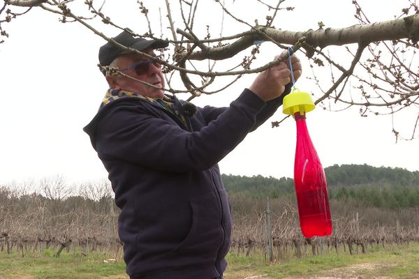 Le petit village de Joannas en Ardèche (289 habitants) a installé 80 pièces à frelons asiatiques sur son territoire à la fin du mois de mars pour attraper les fondatrices.