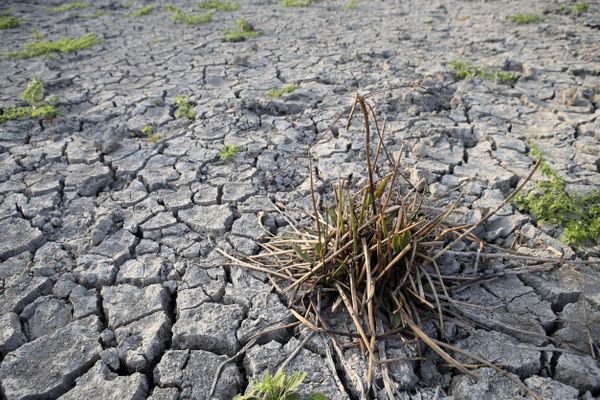 Illustration. Un épisode de sécheresse en 2021, en Corse-du-Sud, avait conduit à des restrictions d'eau.