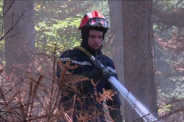 Une quarantaine de sapeurs pompiers sont mobilisés en forêt pour éteindre ce feu qui couve sous le tapis végétal