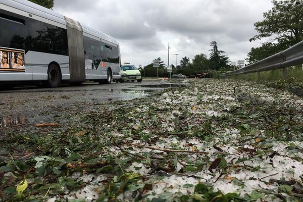 A 9h30, ce jeudi, des grêlons jonchent toujours le sol route de Narbonne, à Toulouse.