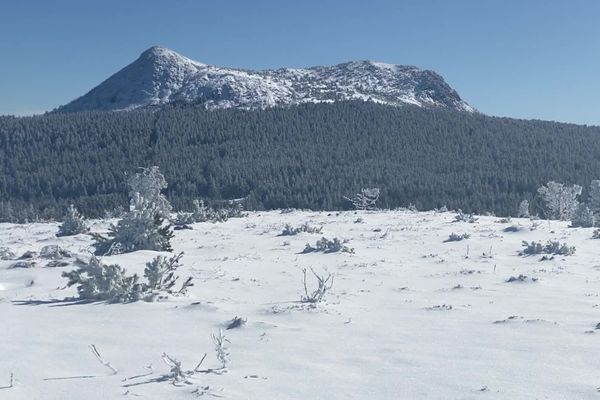 Partir à la découverte des animaux sauvages est l'une des activités proposées aux touristes dans le massif du Mezenc, entre la Haute-Loire et l'Ardèche, pendant ces vacances de février.