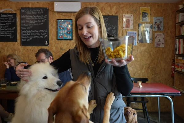 Vanina a créé le lieu, et ne manque pas d'idées pour développer le concept du bar à chiens.