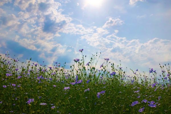 Après quelques averses limitées, avec un caractère orageux peu prononcé, le beau temps est de retour en fin de journée sur les Hauts-de-France.