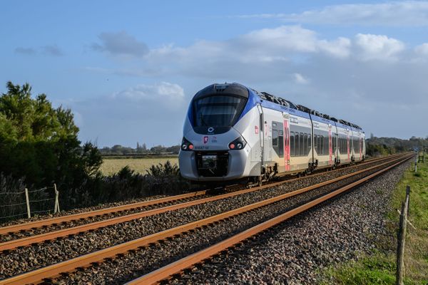 La circulation du TER entre Bergerac et Sarlat en Dordogne est interrompue depuis ce matin, vendredi 13 décembre 2024. Le train a percuté une personne présente sur les voies dans le secteur de Castillon.