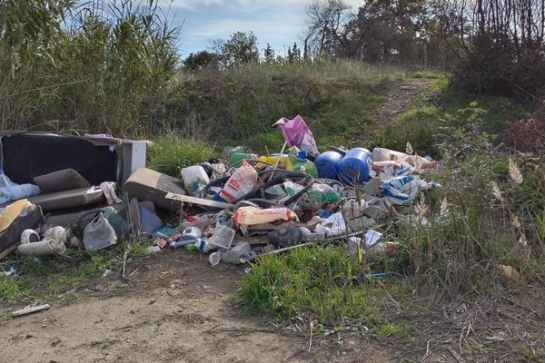 Le conseil municipal de la ville de Pia a décidé d'augmenter l'amende contre les personnes qui jettent leurs ordures dans la nature.