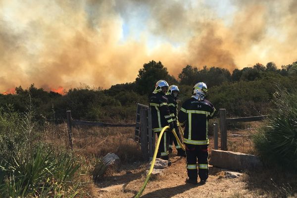 Le feu de forêt parti de Fabrègues, dans le massif de la Gardiole, a brûlé une centaine d'hectares de végétation. 