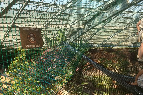 Sur pont de singes qui passe au-dessus des fosses aux crocodiles à Civaux.