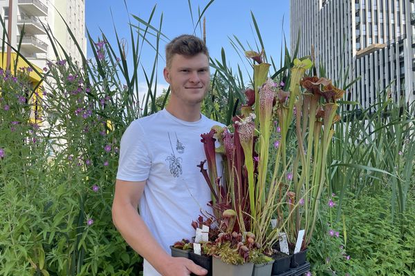 Enzo est éleveur de plantes