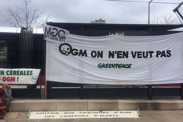 Des Faucheurs Volontaires venus de toute la France ont participé à la destruction de quatre parcelles de colza OGM VrTH (c'est-à-dire Végétaux rendus Tolérants aux Herbicides) dans l’agglomération dijonnaise. 