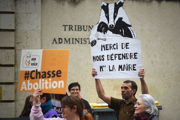 23 octobre 2019. Des militants pour la cause animale manifestent devant le tribunal administratif d'Orléans en soutien à la maire de la commune de Valaire, Catherine Le Troquier, qui a interdit la chasse aux blaireaux sur sa commune.  