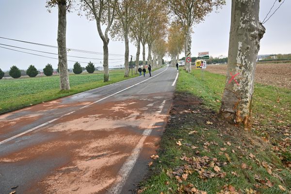 Les cinq victimes du terrible accident sont désormais formellement identifiées. Les jeunes hommes ont péri, dimanche 17 novembre 2024, sur la RD 988 à l'entrée de Gaillac dans le Tarn.