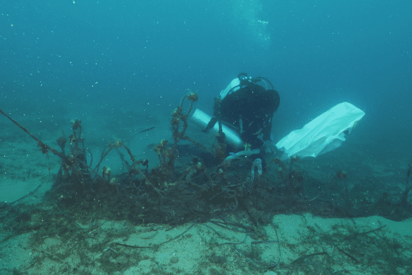 Des filets comme ceux-là se retrouvent dans les fonds marins et polluent l'écosystème