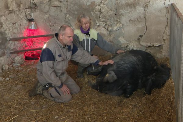 Pascal et Catherine Lesage éleveurs de porcs gascons