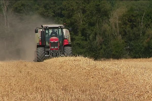 Les céréaliers sont particulièrement inquiets depuis le début de la crise sanitaire. 