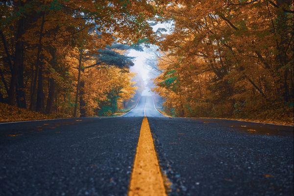 On entre de plein pied dans l'automne