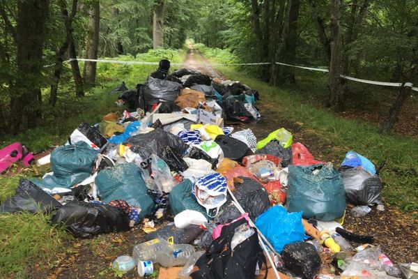 L’un des cinq amas d’ordures trouvés dans la forêt de Fontainebleau.