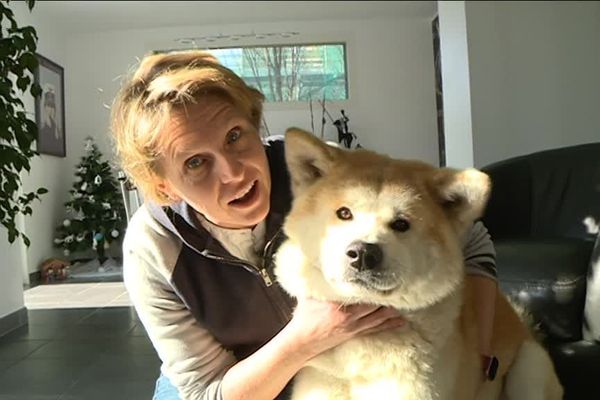 Marie-Noëlle Vervoitte, cofondatrice de Wafinu, est l'une des organisatrices du concours. Elle pose ici avec Taka, son akita inu.