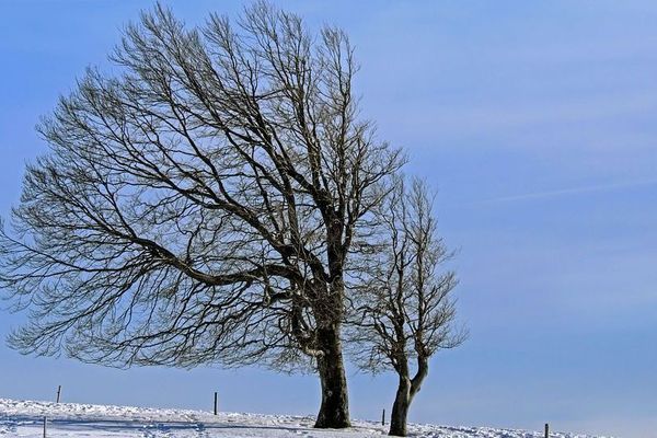 Météo France annonce des vents violents sur la région