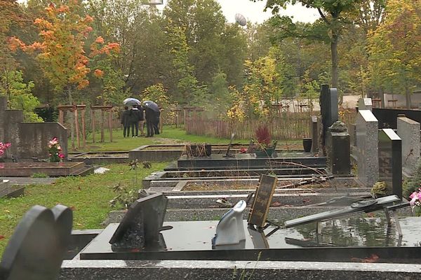 La forêt cinéraire du cimetière sud de Nancy (Meurthe-et-Moselle).