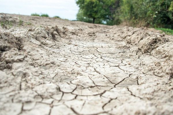 L'Allier a été reconnu en "calamité agricole par le ministère de l'Agriculture ce mardi 11 février, les agriculteurs ayant subi des pertes pourront être indemnisés.