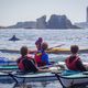 Les rivages de l'île de Sein sont le terrain de jeu favori d'une colonie d'une quarantaine de grands dauphins sédentaires qu'il est possible d'observer en kayak.