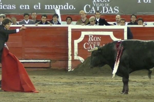 Une estocade au ralenti couronne une faena engagée : deux oreilles pour Castella à Manizales.