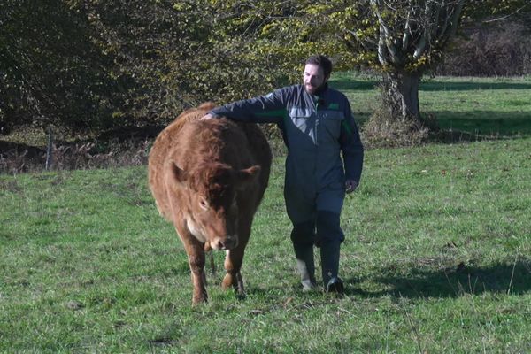 Éleveur bovin en Haute-Vienne, Sébastien Péjou est également journaliste, animateur dans une radio locale, président d'une troupe de théâtre et adjoint au maire dans sa commune de Magnac-Bourg.